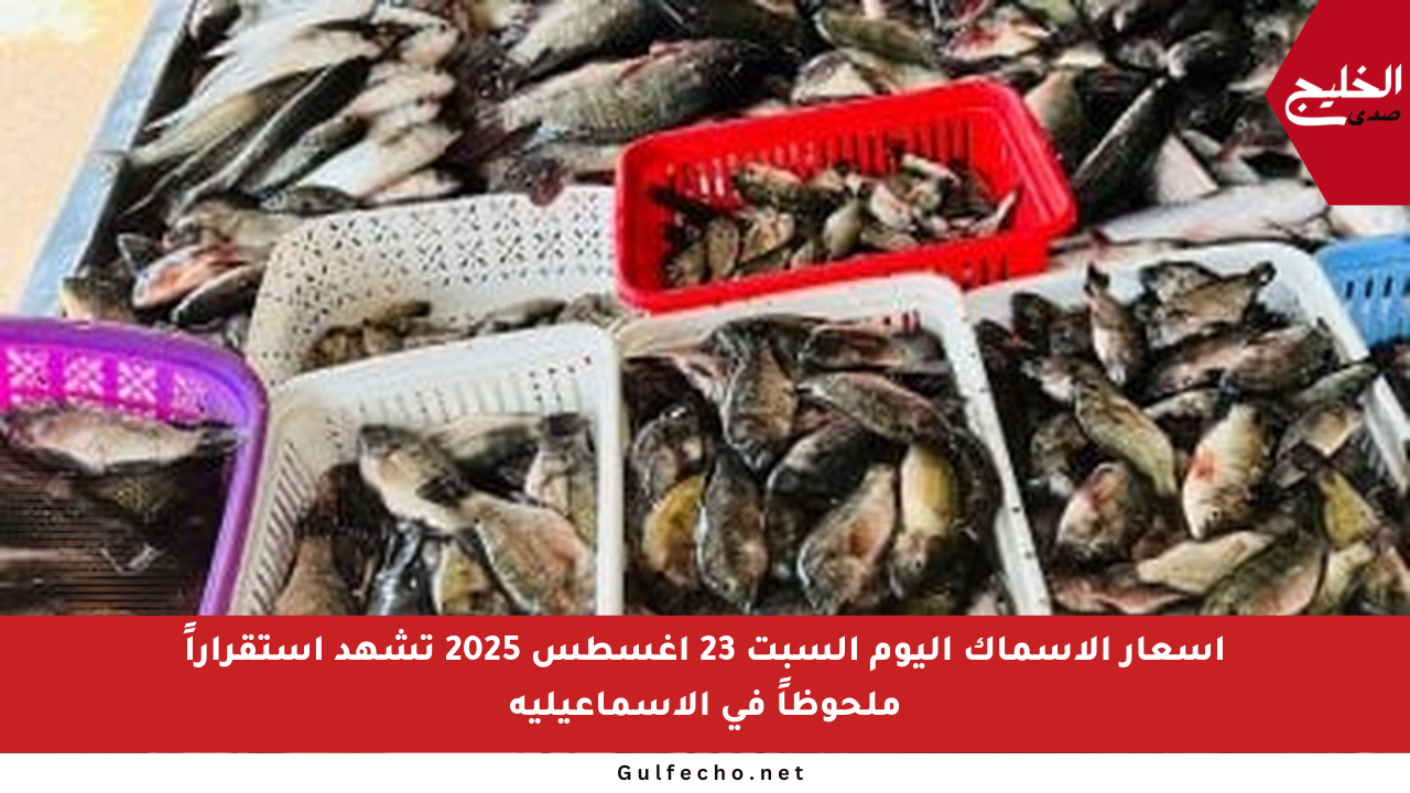 أسعار الأسماك اليوم السبت 23 أغسطس 2025 تشهد استقراراً ملحوظاً في الإسماعيلية